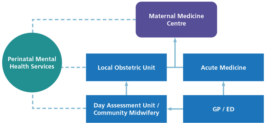Professionals diagram